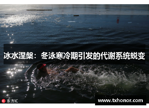 冰水涅槃：冬泳寒冷期引发的代谢系统蜕变